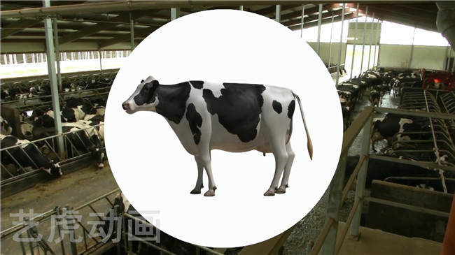 三維動畫場景設計.jpg 三維動畫場景設計