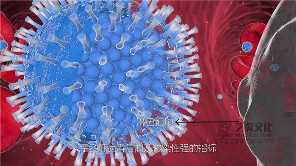 4HBV病毒疫苗藥物細(xì)胞[00_00_08][20210220-134116]