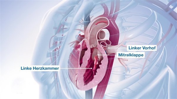 三維動畫制作20 三維動畫制作20