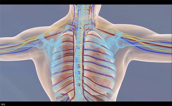 三維動畫制作71 三維動畫制作71