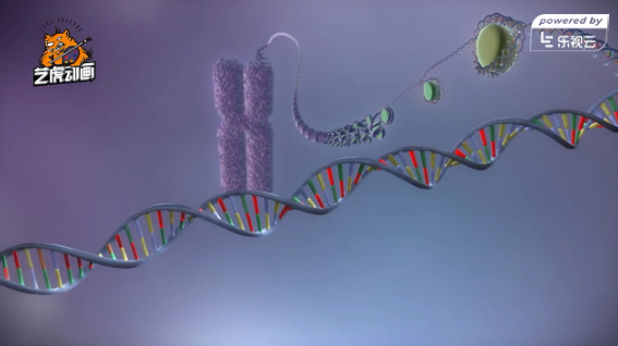 醫(yī)學(xué)演示三維動畫 醫(yī)學(xué)演示三維動畫