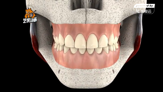 3D牙科補牙醫學動畫 3D牙科補牙醫學動畫