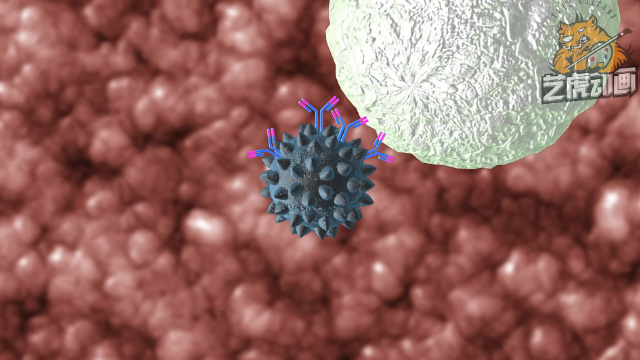 醫療動畫視頻 醫療動畫視頻