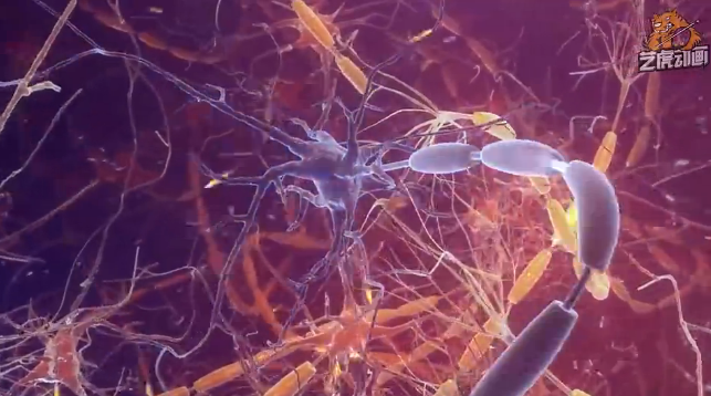 醫(yī)療三維動(dòng)畫 醫(yī)療三維動(dòng)畫