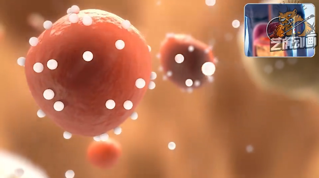 醫學動畫 醫學動畫