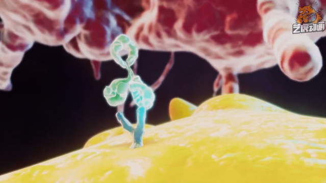 醫(yī)學(xué)演示動(dòng)畫 醫(yī)學(xué)演示動(dòng)畫