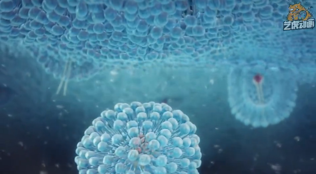 醫(yī)學醫(yī)療動畫 醫(yī)學醫(yī)療動畫