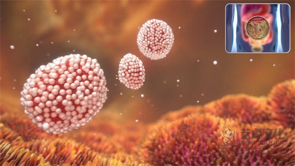 1ac238849bf340e78f7907776ae3302c-00005